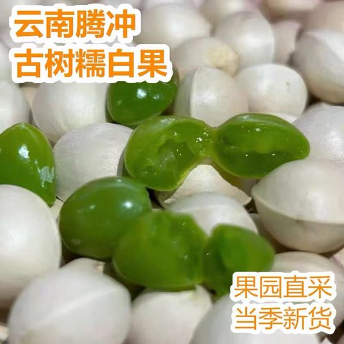银杏果绿芯糯白果云南腾冲