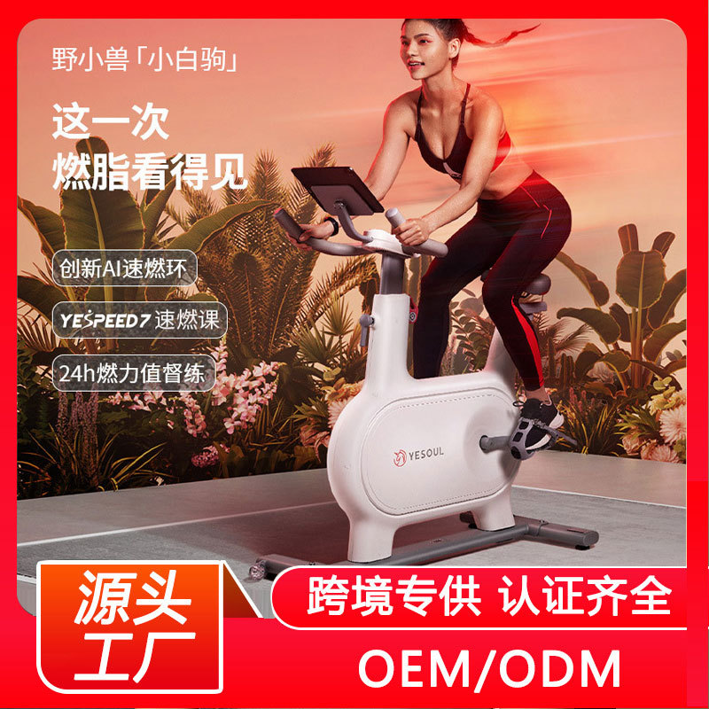 闲鱼二手市场YESOUL野小兽动感单车家用小型静音健身器材室内运动