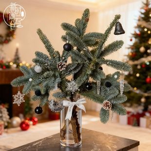 诺贝松鲜切枝新年圣诞绿植装饰节日花束diy搭配松枝家居花店花材