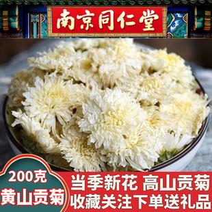 同仁堂菊花茶安徽正宗黄山贡菊特级胎菊白菊花中药材泡泡茶火气大