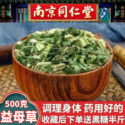甘肃山区益母草新货野生