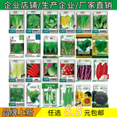 蔬菜种子生菜香菜萝卜油麦菜向日葵豆角辣椒种子四季 种植阳台盆栽