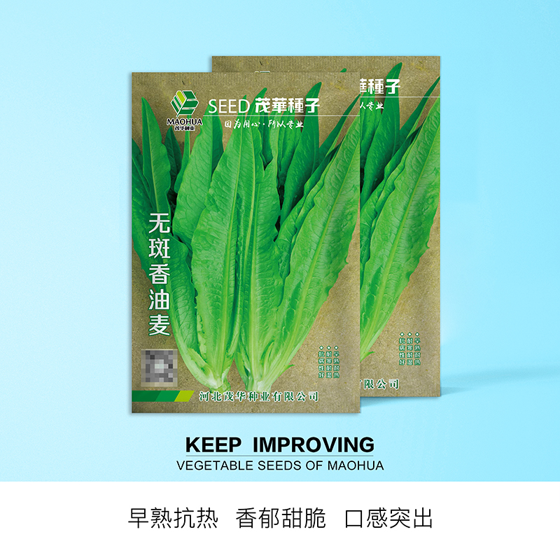 中科茂华蔬菜种子油麦菜生菜种子20天可采摘家庭园艺阳台盆栽种植