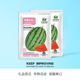 中科茂华早春红玉茂华小红玉中科金品红玉礼品西瓜种子红肉超甜脆