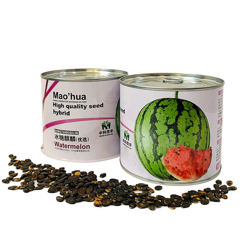 中科茂华 蔬菜种子 冰糖麒麟西瓜种子 薄皮8424麒麟種子