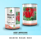 中科茂华蔬菜种子天樱八号新一代朝天椒辣椒种子基大面积种植