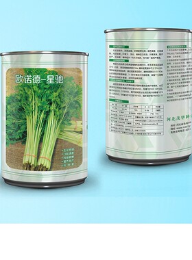 中科茂华蔬菜西芹小香芹种子欧诺德星驰颜色淡黄不空心