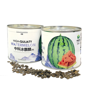 中科茂华西瓜种子中科冰麒麟改良8424抗裂超甜改良美都类西瓜种子