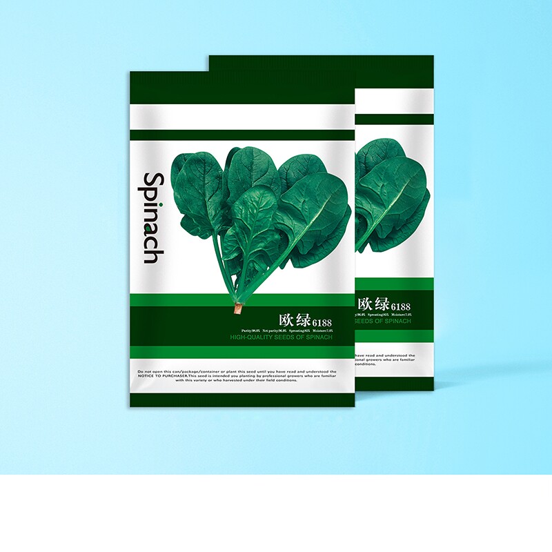 中科茂华蔬菜种子欧绿大叶菠菜春秋种植家庭园艺阳台盆栽