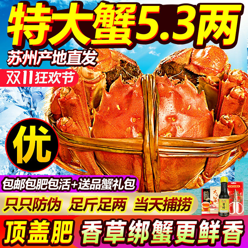 苏州阳澄老马家大闸蟹鲜活螃蟹现货活蟹10只超特大5.3全母蟹湖鲜