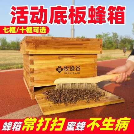 中蜂箱活底蜂箱厂家直销全套十框标准箱诱蜂桶土养箱蜜蜂蜂箱养蜂