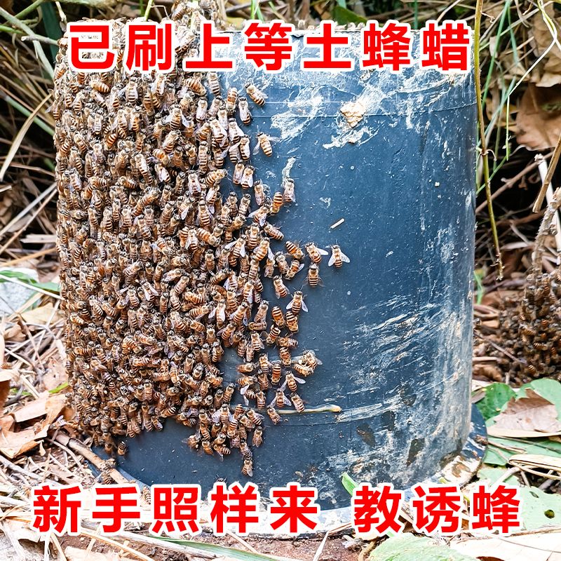涂蜡诱蜂桶蜜蜂箱养蜂中蜂蜡野外引蜂招蜂诱捕土蜂收蜂黑色塑料桶