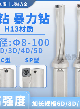 U钻WC/SP大直径8/50/70/80/100平底U钻抗震内冷钻暴力钻开粗U钻