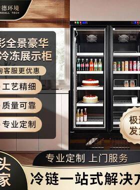 商用蛋糕冷冻柜烘焙甜品店速冻陈列柜来图定制冷柜食品厂制冷设备