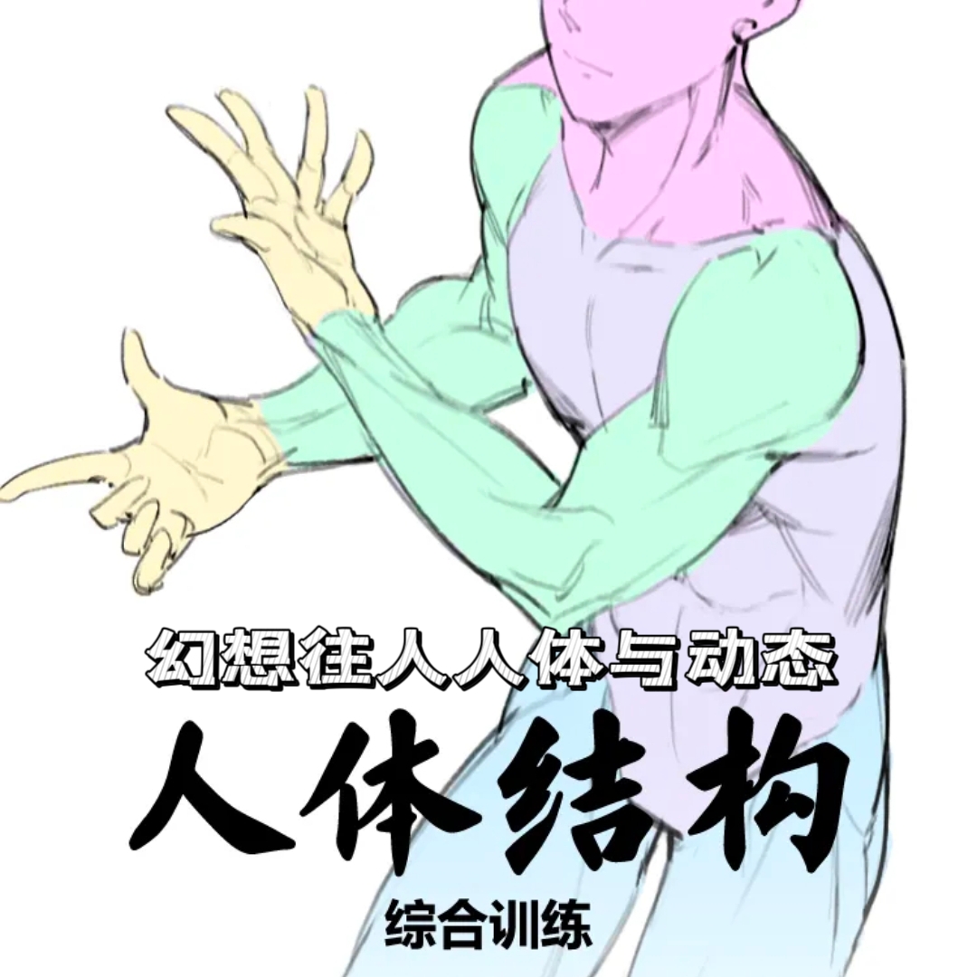 幻想往人人体绘画课程8周从人偶画好人体与动态第13期零基础74节