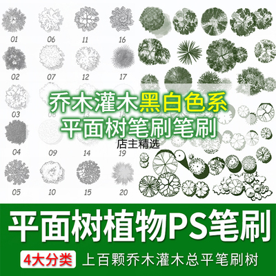 园林景观平面树平植物ps笔刷procreate水彩树乔木灌木总平彩手绘