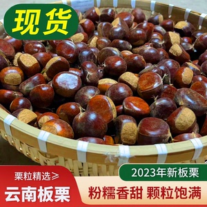 2023年新下树云南板栗新鲜1-5斤生栗子当季现摘现发农家毛栗子