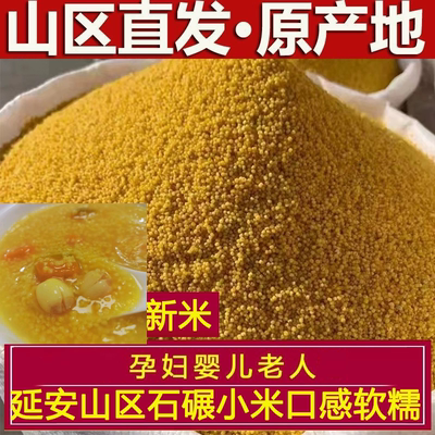 现碾新鲜米正宗陕北延安油小米黄小米旱地油小米杂粮布袋装