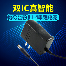 Зарядное устройство Nicjoy 12, 6 1a