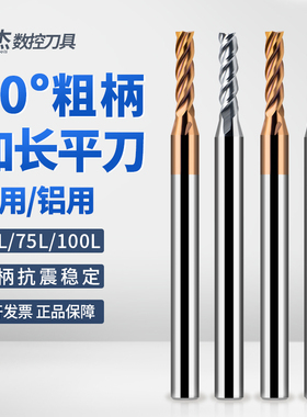 世杰60度加长钨钢粗柄铣刀1.5 2 3 4 D6不锈钢铝用变径铣刀75 100