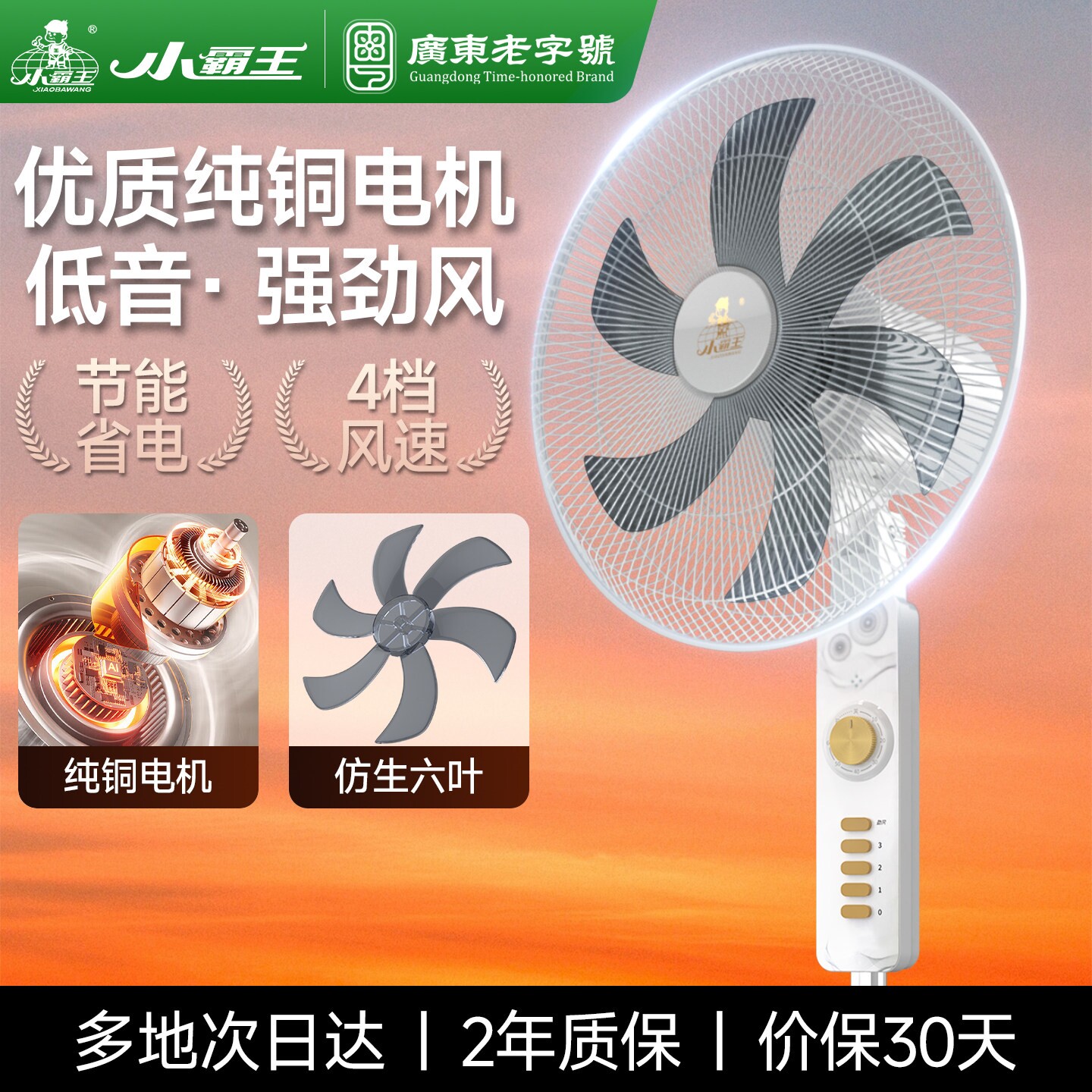 小霸王电风扇家用节能落地扇遥控图片