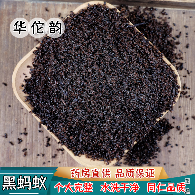 华佗韵 黑蚂蚁 拟黑多刺蚁 蚂蚁干黑蚂蚁粉 中药材中草药同仁品质