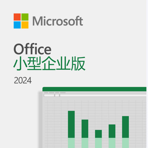 office 2024 小型企业版