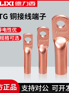德力西紫铜DTG-10/16/25铜鼻子接线端子压线铜管鼻电线电缆铜线耳