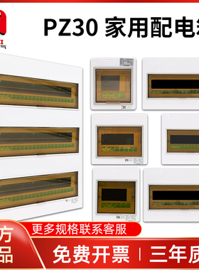 德力西配电箱PZ30s照明装家用暗装空气开关盒强电源电控布线箱