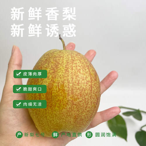 香梨孕妇水果梨子新鲜10斤库尔勒