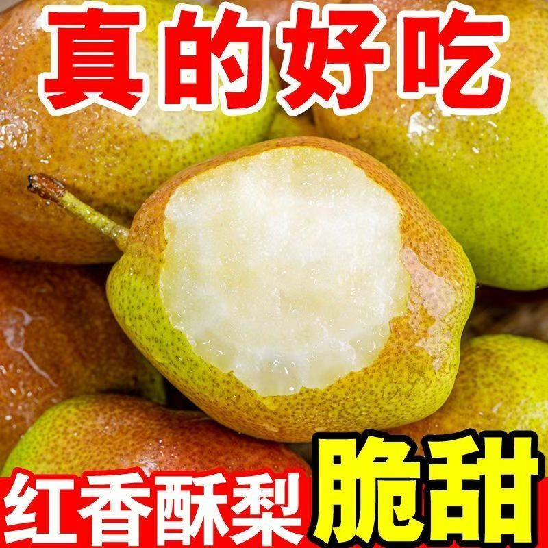河北特产梨子库尔勒香梨当季新鲜水果脆甜多汁
