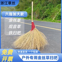 【金絲草】觀音草鐵掃把