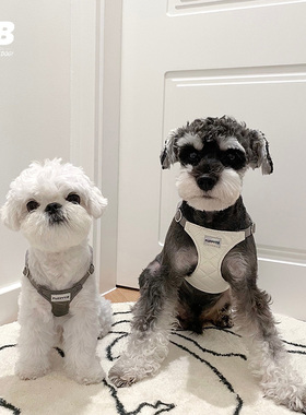 福莱希style系列宠物狗狗猫狗伸缩牵引绳胸背遛狗绳中小型犬带状