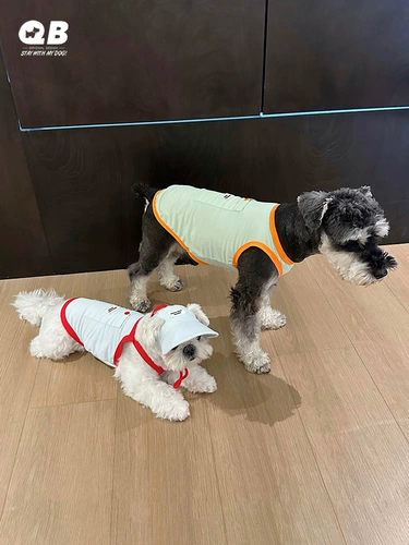 QB Pet Dog Cold Sensation екта