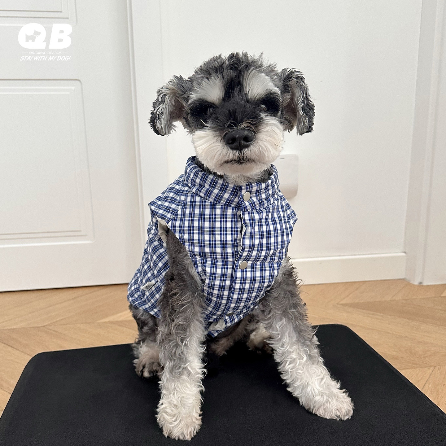 宠物狗狗羽绒服马甲坎肩牵引开衫雪纳瑞比熊加厚鸭绒冬季棉服棉衣,宠物/宠物食品及用品,狗宠物服装/雨衣,淘宝优惠券,粉丝福利购,淘宝优惠卷