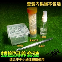 Маленький набор размножения TL (детали, как показано на рисунке)