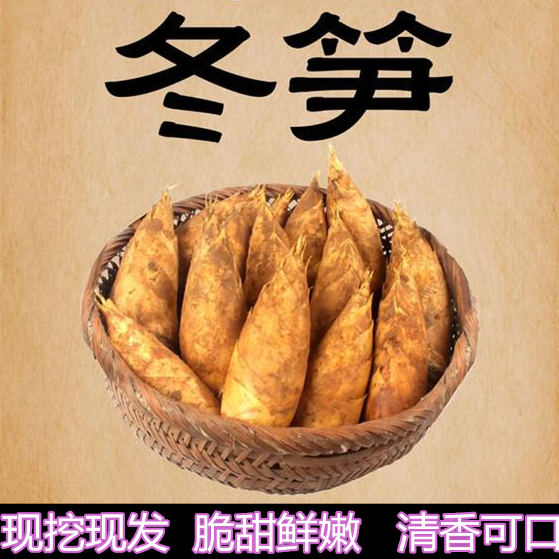 宁海双峰特产新鲜现挖野生大冬笋高山黄泥拱春笋去老根特级送礼品