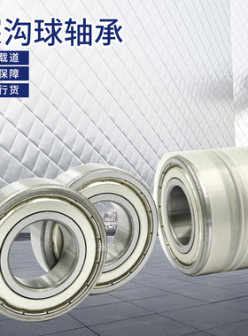 不锈钢轴承S6019 S6014 S6015 S6016 6017 6018ZZ 304/440材质