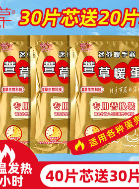 萱草暖蛋替换芯学生暖手宝8小时