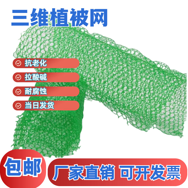 边坡绿化三维网土工网厂家直销