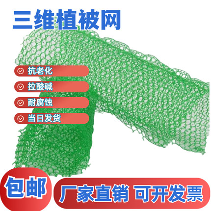 三维植被网三维网土工网绿化护坡固土防尘边坡防护园林草籽种植袋