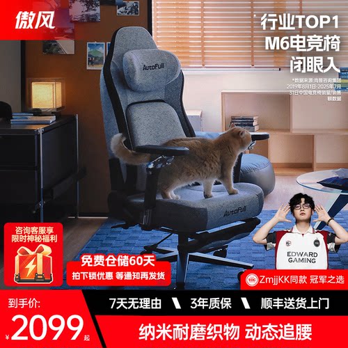 傲风M6电竞椅人体工学椅纳米织物