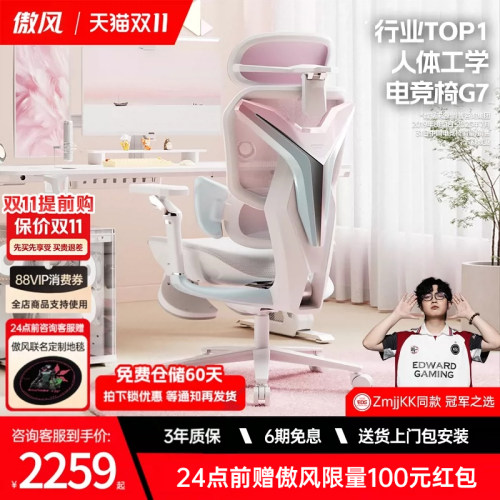 人体工学电竞椅 3区AUTO追腰 电竞樱花背甲
