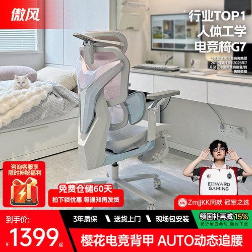 人体工学电竞椅 3区AUTO追腰 电竞樱花背甲