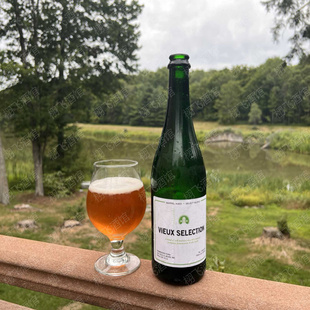 美国进口精酿啤酒FORM农舍艾尔750ML瓶装慢动作非正式8号啤酒