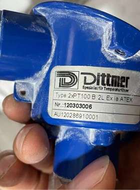 现货Dittmer温度传感器2xPt100 B 2L