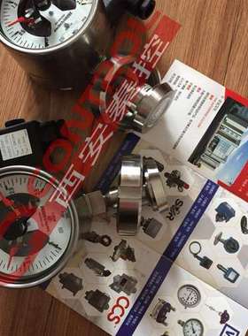 PGS23.160+821.11带开关带显示压力表