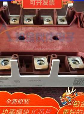 SKIM304GD12T4D SKIM304GD128D SKIM401GD128D SKIM455GD12T4DM1