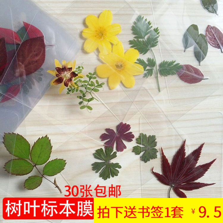 树叶标本膜塑封膜冷裱膜a4a6a3手工制作照片植物书签自粘冷表膜