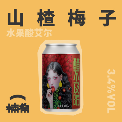 啤术院醋不及防酸艾尔精酿啤酒